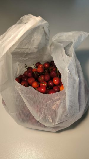 Reklamówka 26x45